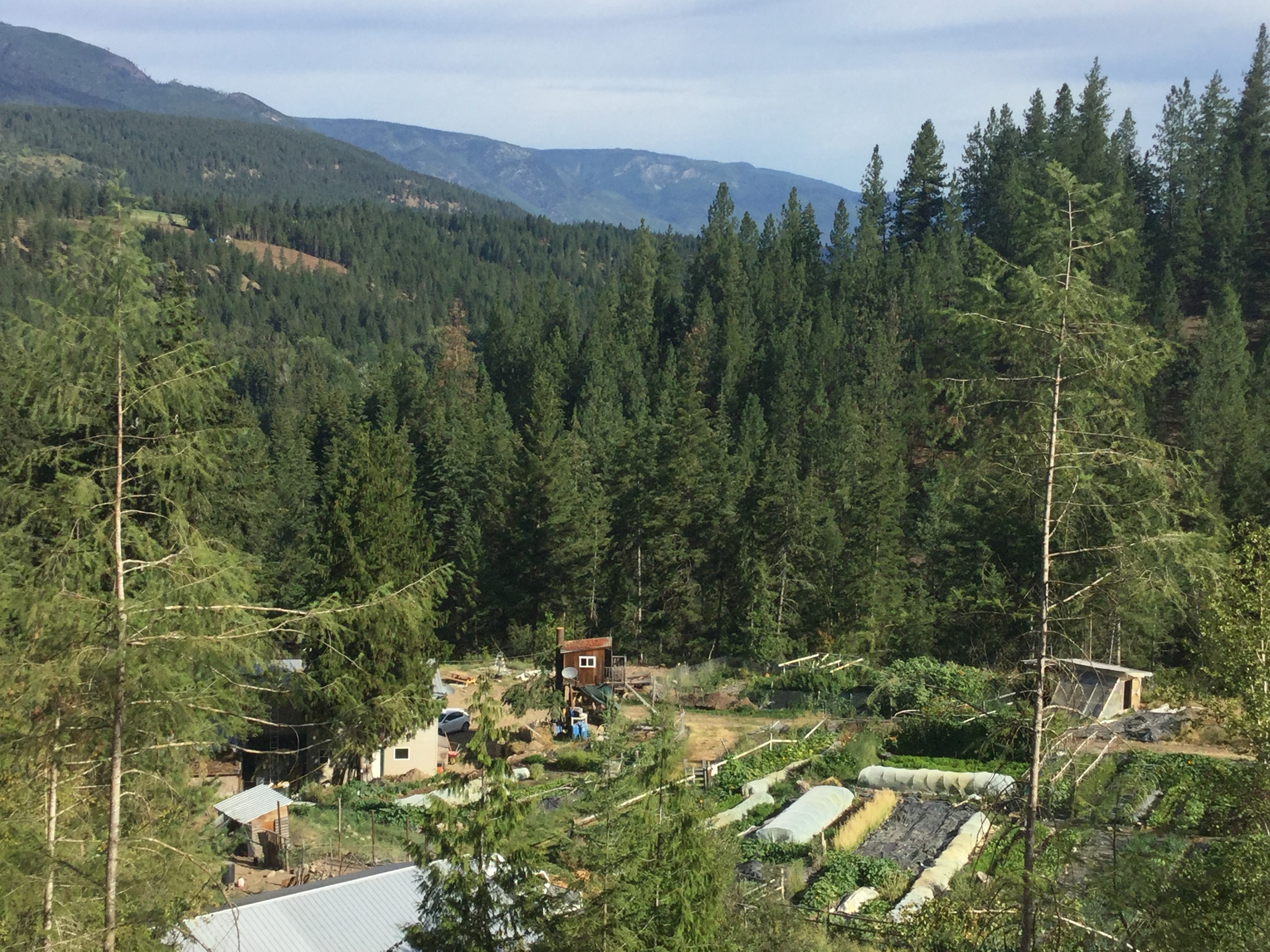 Aerial view of our homestead nestled in the forest