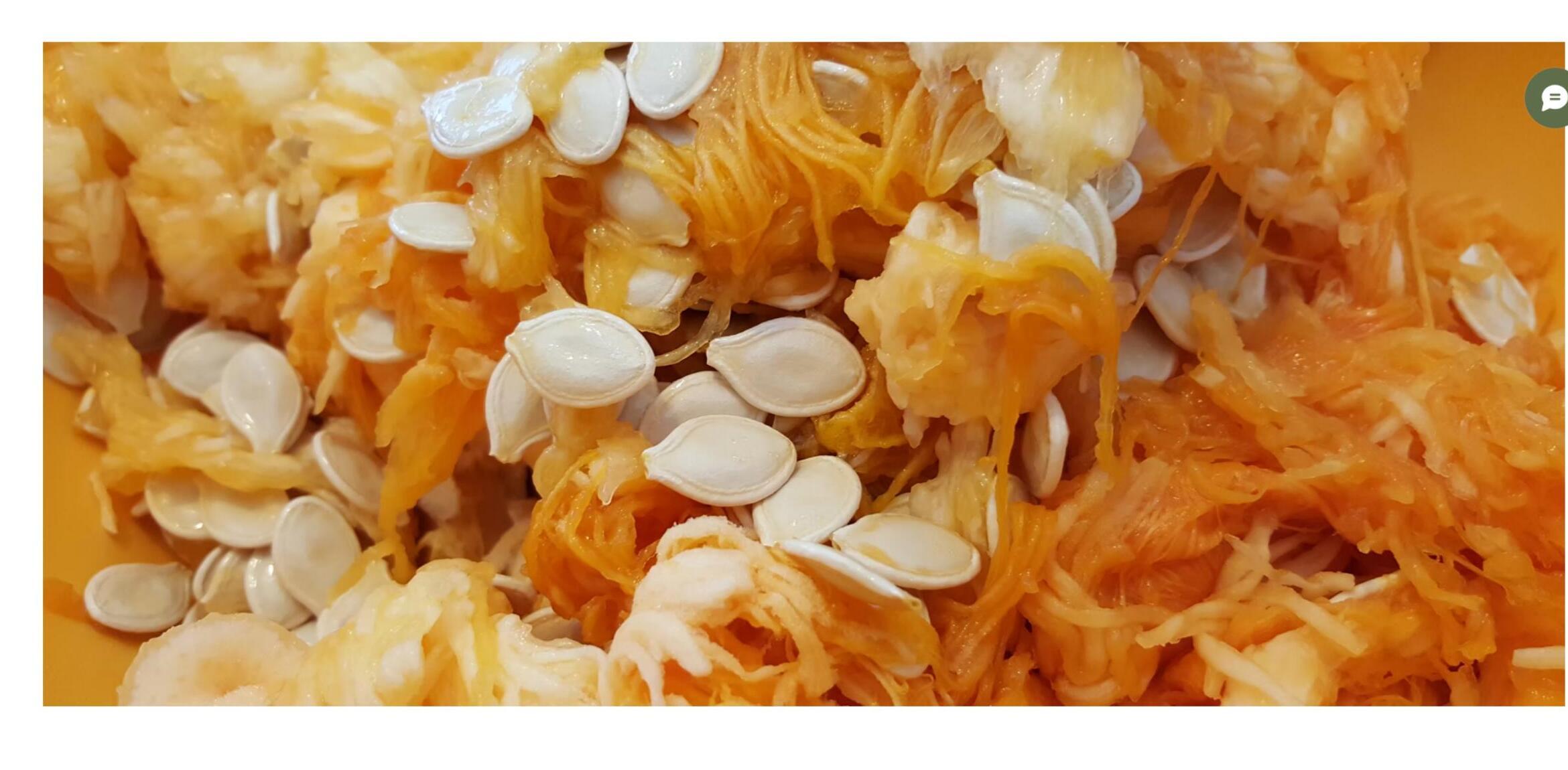 Variety of nuts and seeds